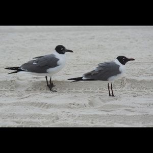 Meet your Posher, Deb